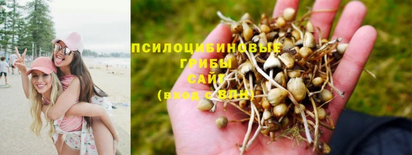 прущая мука Балабаново