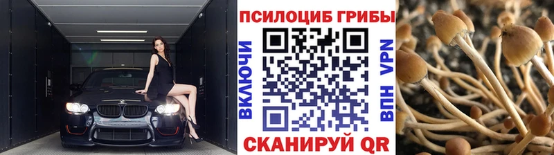 маркетплейс формула  продажа наркотиков  кракен ТОР  Щёлкино  Псилоцибиновые грибы Magic Shrooms 